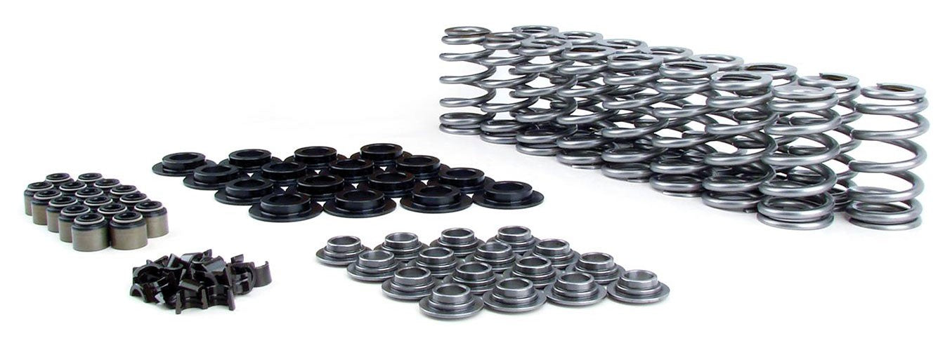 DUAL VALVE SPRING KIT SUIT GM LS SERIES  