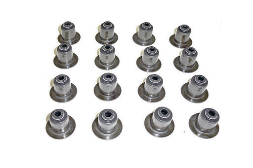 BA BF FG Falcon Barra 4L Valve Stem Seal Set 