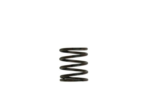 TURBOSMART Gen4 WG38/40/45/50L IWG 3PSI INNER SPRING – BROWN/BLACK