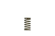 TURBOSMART Gen-V WG60 3PSI INNER SPRING