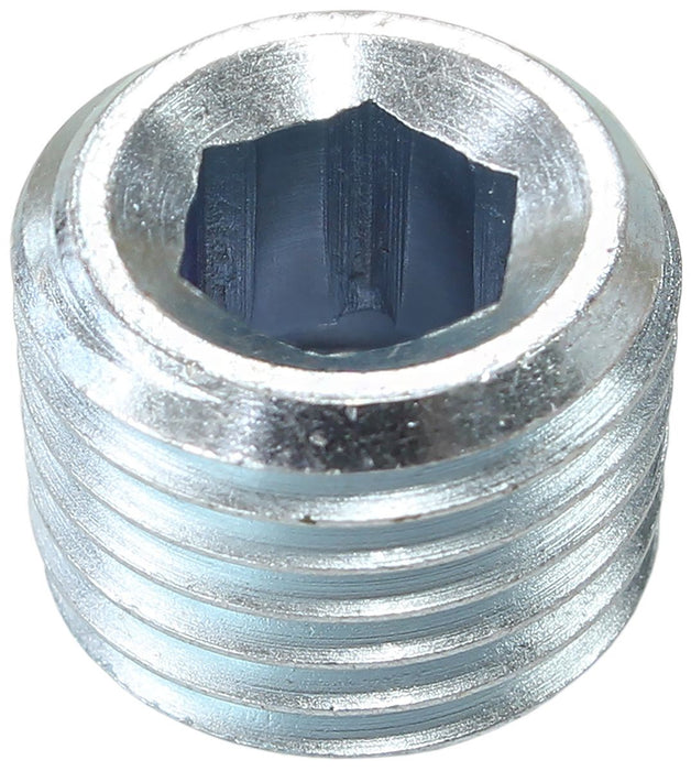 ZINC COATED STEEL PORT PLUG 1/8" NPT  