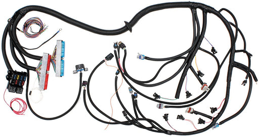 GM LS1 WITH T56 MANUAL TRANSMISSION WIRING HARNESS