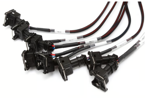 Elite 2500 + GM GEN III LS1 & LS6 non DBW Terminated Harness Kit (EV1)