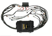 Elite 2500 + GM GEN III LS1 & LS6 non DBW Terminated Harness Kit (EV1)