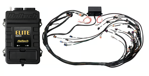Elite 2500 + GM GEN IV LSx (LS2/LS3 etc) non DBW Terminated Harness Kit (EV1)