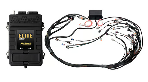 Elite 2500 + GM GEN IV LSx (LS2/LS3 etc) DBW Ready