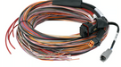 PD16 PDM + Flying Lead Harness (5M) 