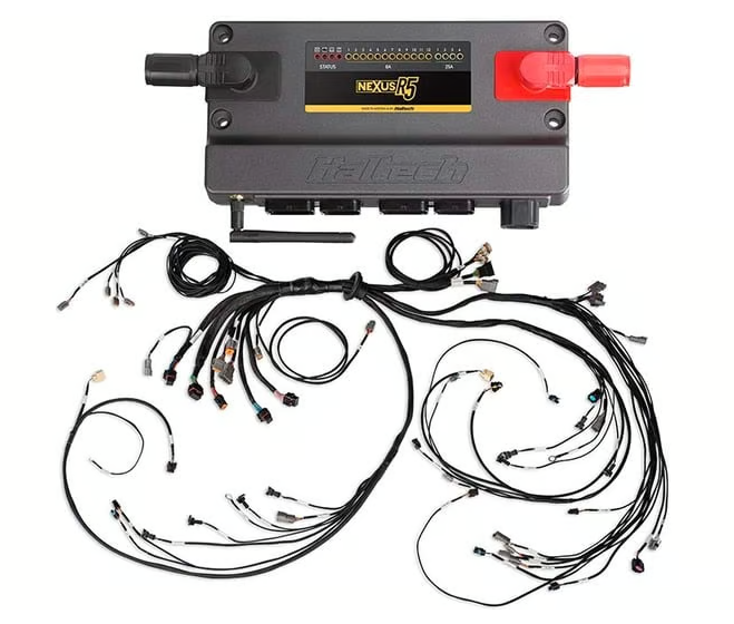 Nexus R5 + LSx Non DBW Terminated Harness