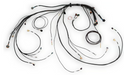 Nexus Rebel LS Terminated Harness for Nexus Rebel LS ECU