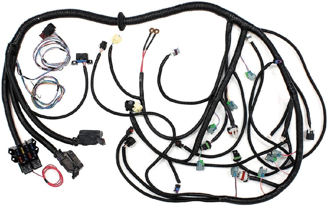GM LS2/3 STANDALONE WIRING HARNESS SUITS T56/TR6060 MANUAL TRANS